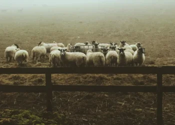 R Sánchez-Rivera on Slippery Eugenics