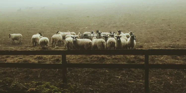 R Sánchez-Rivera on Slippery Eugenics