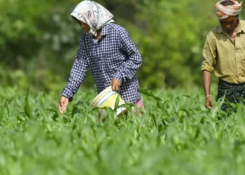 Fertilizer industry seeks cut in GST to 5%, urges Govt for input tax credit refund