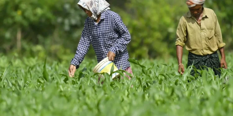 Fertilizer industry seeks cut in GST to 5%, urges Govt for input tax credit refund