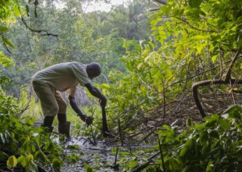 Climate Resilience that Delivers: Provincial Readiness for Droughts and Floods