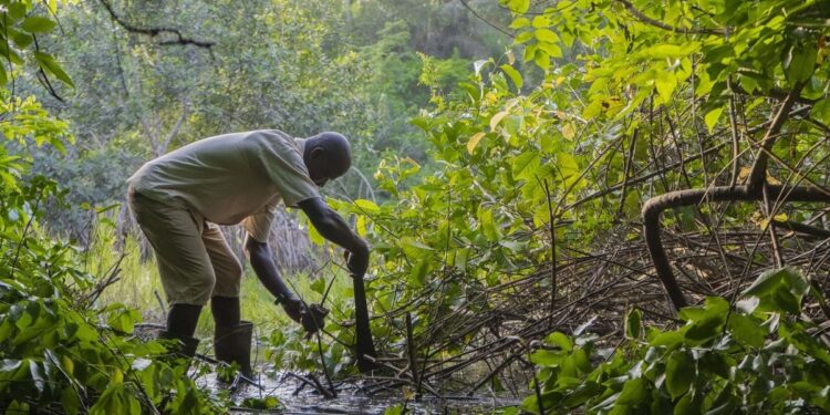 Climate Resilience that Delivers: Provincial Readiness for Droughts and Floods