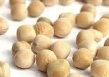 India ends duty-free imports of yellow peas