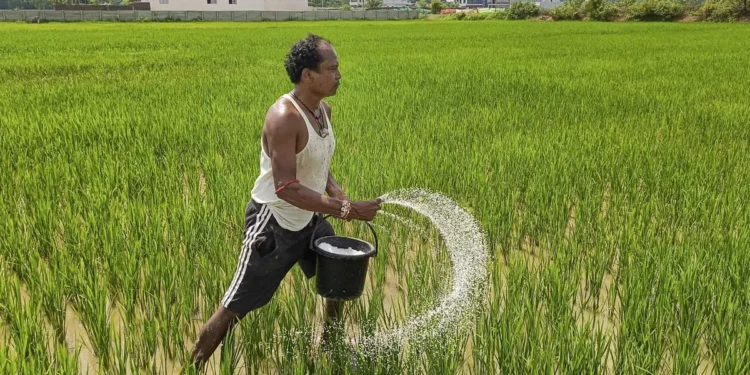 India’s crop advisory body recommends phased hike of urea price