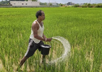 India’s crop advisory body recommends phased hike of urea price