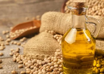 ‘Tariff policy plan’ moots annual review of Indian edible oil import duty