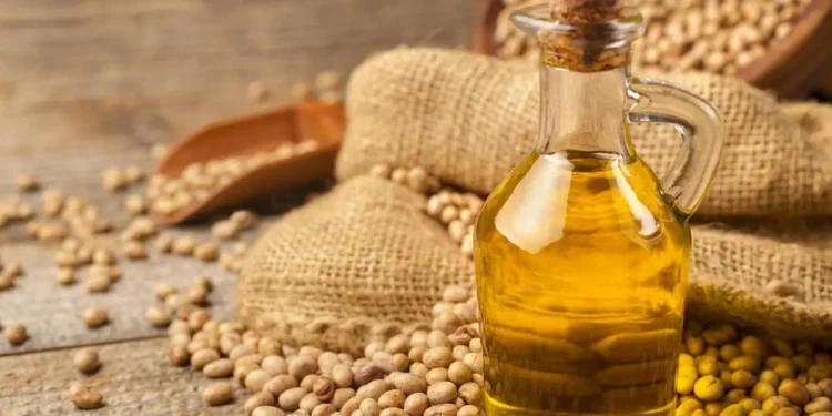 ‘Tariff policy plan’ moots annual review of Indian edible oil import duty