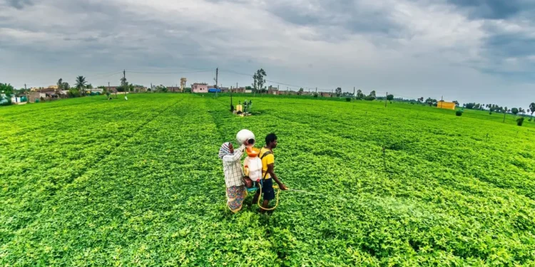 SRIJAN expands support to 38,000 women farmers, strengthens 19 women-led FPCs