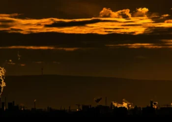 The World of Criminal Psychologists Expands to Include Crimes Against Planet Earth