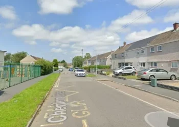 Child ‘assaulted near primary school’ as police launch investigation
