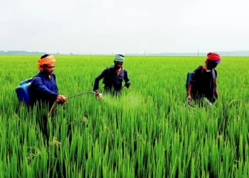 Farm Peace is going public via BSE SME — IPO draft papers filed