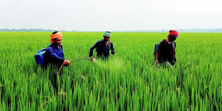 Farm Peace is going public via BSE SME — IPO draft papers filed