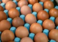 Poultry exports double in H1FY26 on strong demand from the Middle East