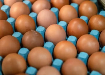 Poultry exports double in H1FY26 on strong demand from the Middle East