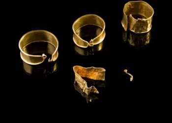 Man denies stealing Bronze Age gold jewellery from Welsh museum