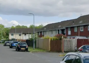 Police descend on street where suspected car thief was ‘hiding in garden playhouse’