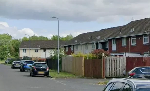 Police descend on street where suspected car thief was ‘hiding in garden playhouse’