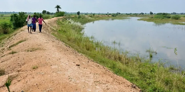 Tamil Nadu disburses ₹856 crore to landowners for Parandur airport site