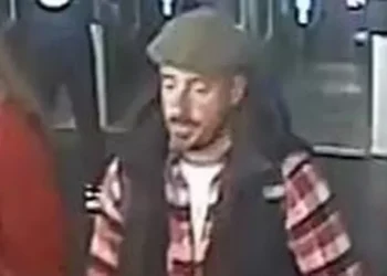 Woman allegedly sexually assaulted on train from Wales