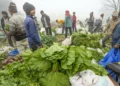 Retail inflation inches up to 0.7% in Nov on higher food prices