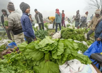 Retail inflation inches up to 0.7% in Nov on higher food prices