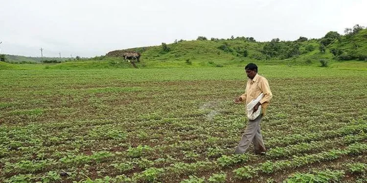 Govt plans to accord ‘permanent approval’ to nano-fertilizers