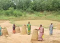 Work days up but Centre may spend less in rural job scheme