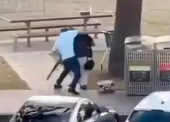 Bondi Beach hero fruit shop owner who tackled gunman