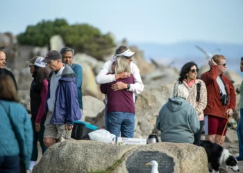 She knew sharks — and their risks. Now the search for beloved swimmer Erica Fox continues off Pacific Grove