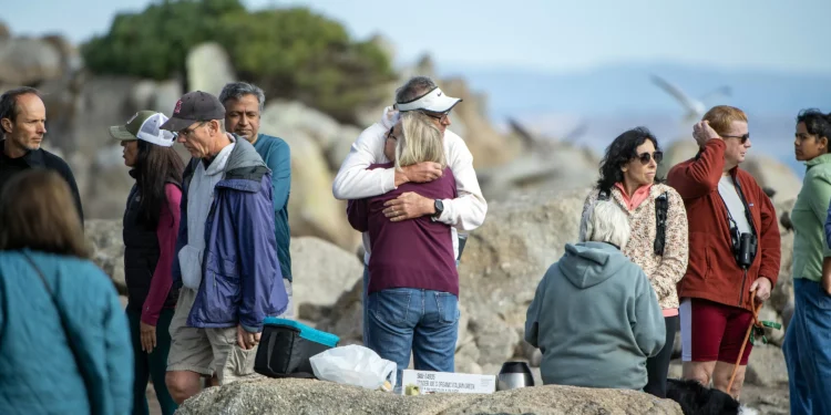 She knew sharks — and their risks. Now the search for beloved swimmer Erica Fox continues off Pacific Grove
