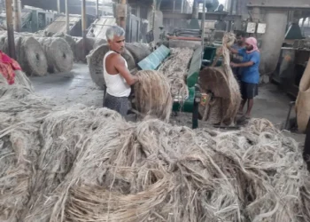 Jute mills cut output as raw jute prices cross ₹1.10 lakh per tonne