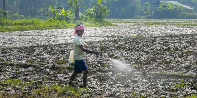 Parliament panel asks govt to raise budget for agriculture, fill up research posts in time
