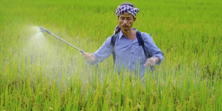 String Bio, CLRRI complete field trial of its biostimulant in Vietnam
