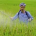 String Bio, CLRRI complete field trial of its biostimulant in Vietnam