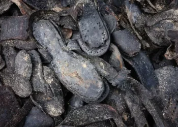 Hundreds of old and tattered shoes mysteriously found on Welsh beach
