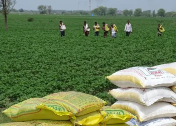 India plans ‘many interventions’ by March ‘26 amid farmers’ complaints on urea shortage