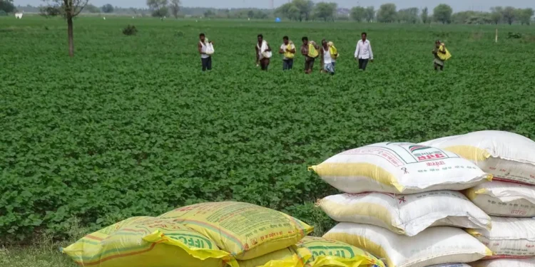 India plans ‘many interventions’ by March ‘26 amid farmers’ complaints on urea shortage