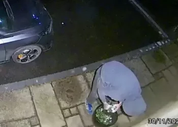 Prowler caught on Ring doorbell as bizarre decision leaves people stunned