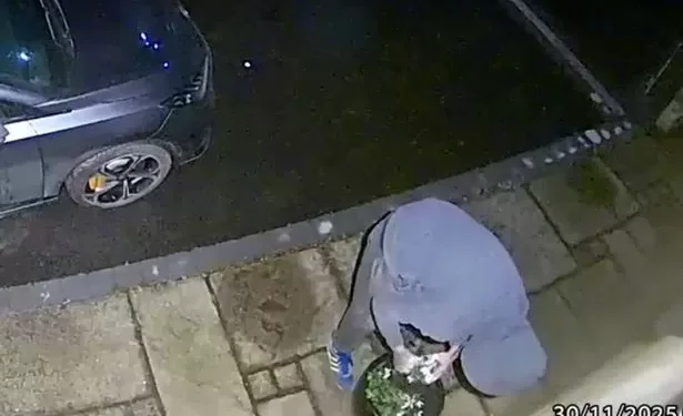 Prowler caught on Ring doorbell as bizarre decision leaves people stunned