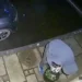 Prowler caught on Ring doorbell as bizarre decision leaves people stunned