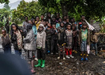 Apple, Tesla accused of profiting from horrific abuses, environmental destruction