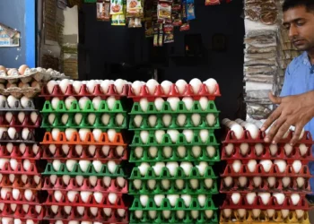 Eggflation hits hard as price of the protein soars on supply crunch and higher demand