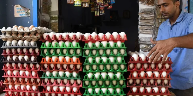 Eggflation hits hard as price of the protein soars on supply crunch and higher demand