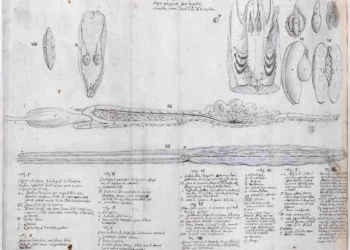 The National Archives and RIBA to partner