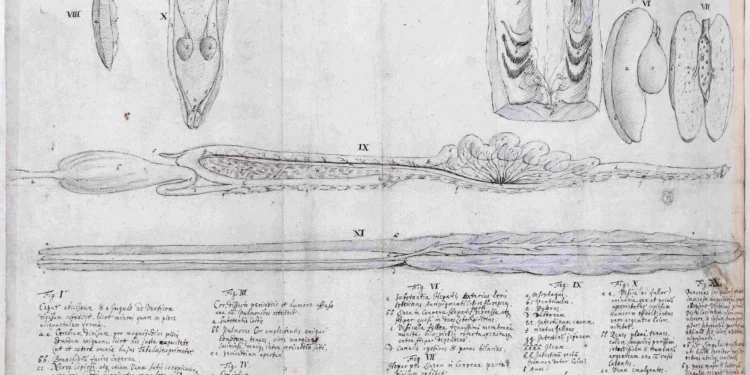 The National Archives and RIBA to partner