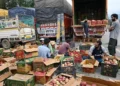 India-EU trade deal unsettles Kashmir’s apple growers
