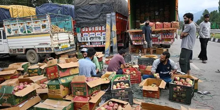 India-EU trade deal unsettles Kashmir’s apple growers
