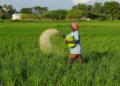 Centre launches e-bill platform to process ₹2 lakh crore fertiliser subsidies