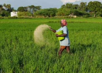 Centre launches e-bill platform to process ₹2 lakh crore fertiliser subsidies