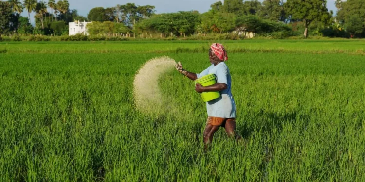 Centre launches e-bill platform to process ₹2 lakh crore fertiliser subsidies